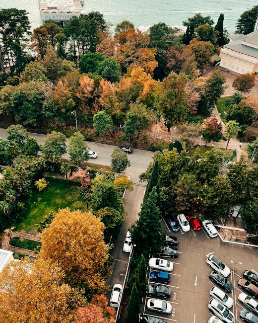 An aerial view of a coastal town during autumn, showing a densely wooded area with trees in shades of green, orange, yellow, and brown, situated behind a residential street. Below the trees, a narrow road runs parallel to a parking lot filled with various parked cars, including sedans and hatchbacks. To the right, there is a building with a white facade and a grey roof, adjacent to the parking area. The scene captures the process of home relocation and furniture transport, with the parking lot likely serving as a staging point for a move arranged by Man With a Van Bounds Green. The lush greenery, seasonal foliage, and built environment illustrate a typical suburban setting ideal for house removals and packing and moving activities, set against a backdrop of distant water and shoreline, under a bright, clear sky.